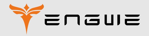 Engwe Logo